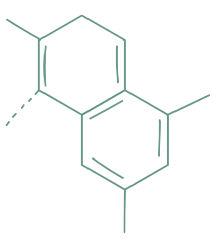 unnamed image